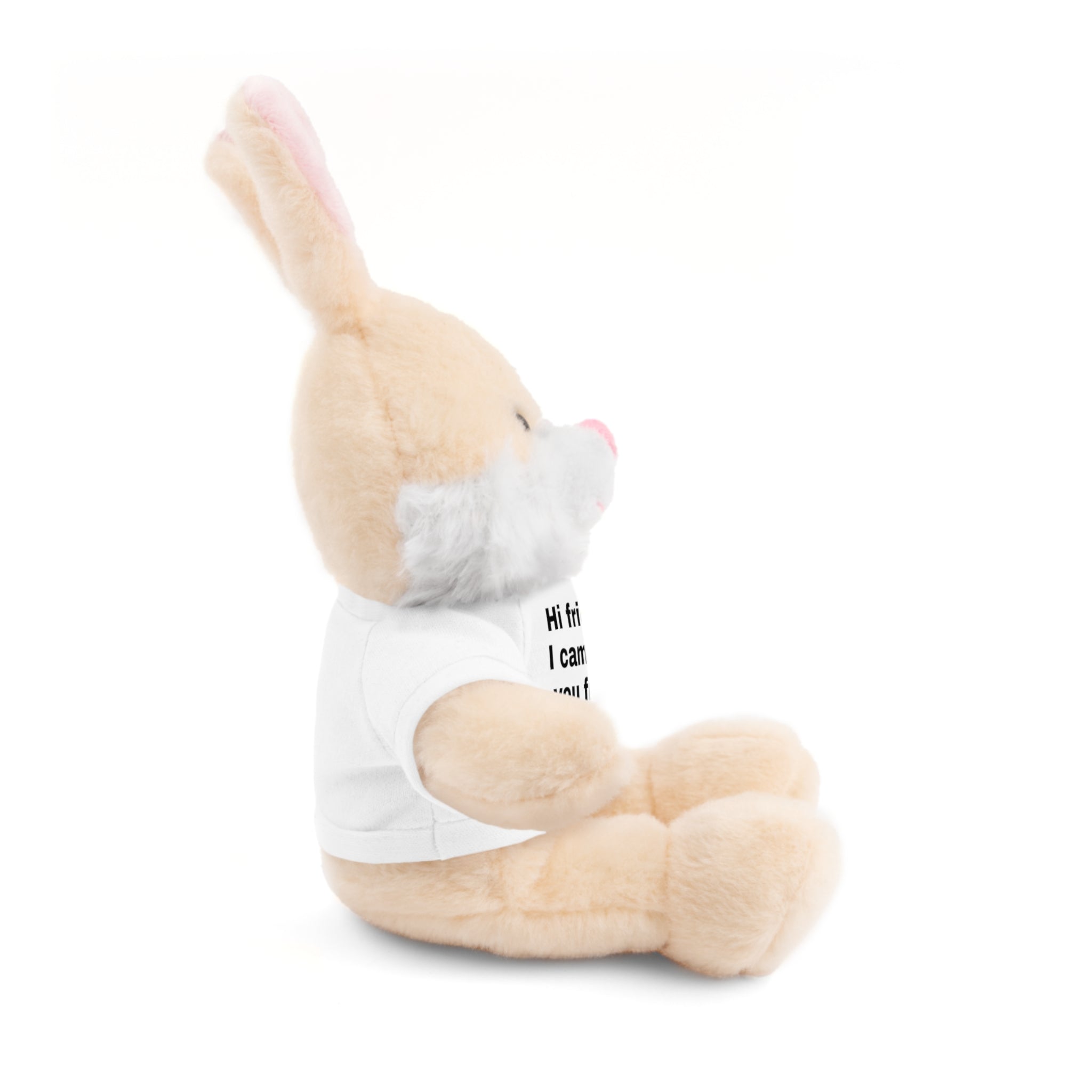 Stuffed Animal with Tee, Cute Bear Plushie, Personalized Gift for Kids, Souvenir from Estes Park, Adorable Cuddle Buddy, Cute Toy for [...]