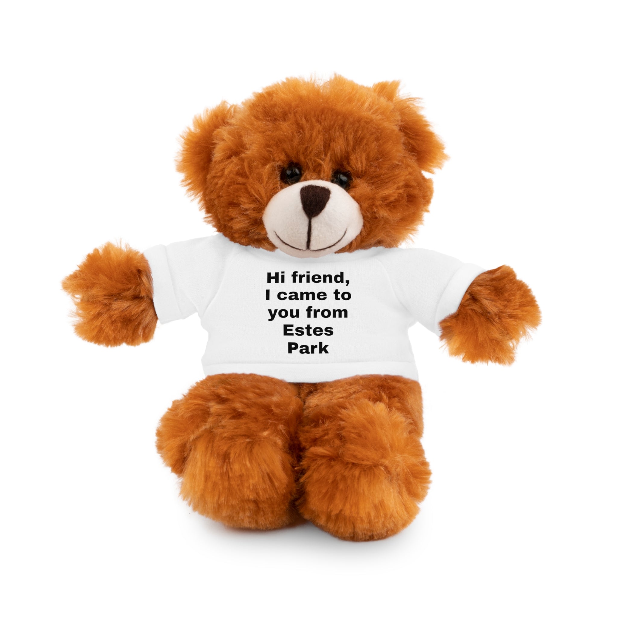 Stuffed Animal with Tee, Cute Bear Plushie, Personalized Gift for Kids, Souvenir from Estes Park, Adorable Cuddle Buddy, Cute Toy for [...]