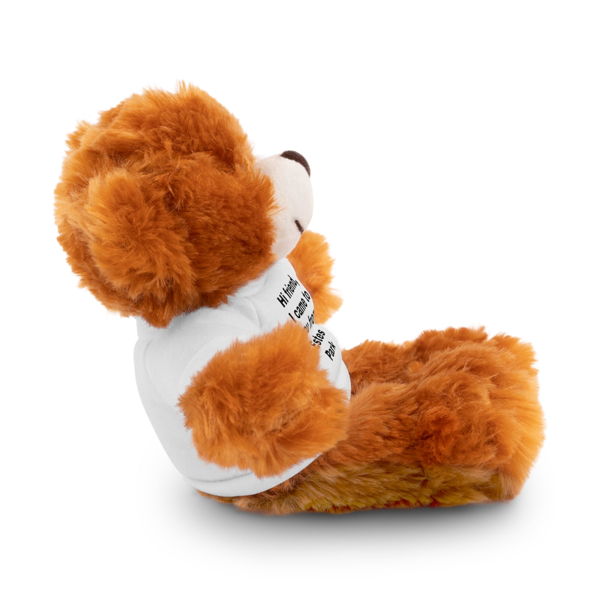 Stuffed Animal with Tee, Cute Bear Plushie, Personalized Gift for Kids, Souvenir from Estes Park, Adorable Cuddle Buddy, Cute Toy for [...]