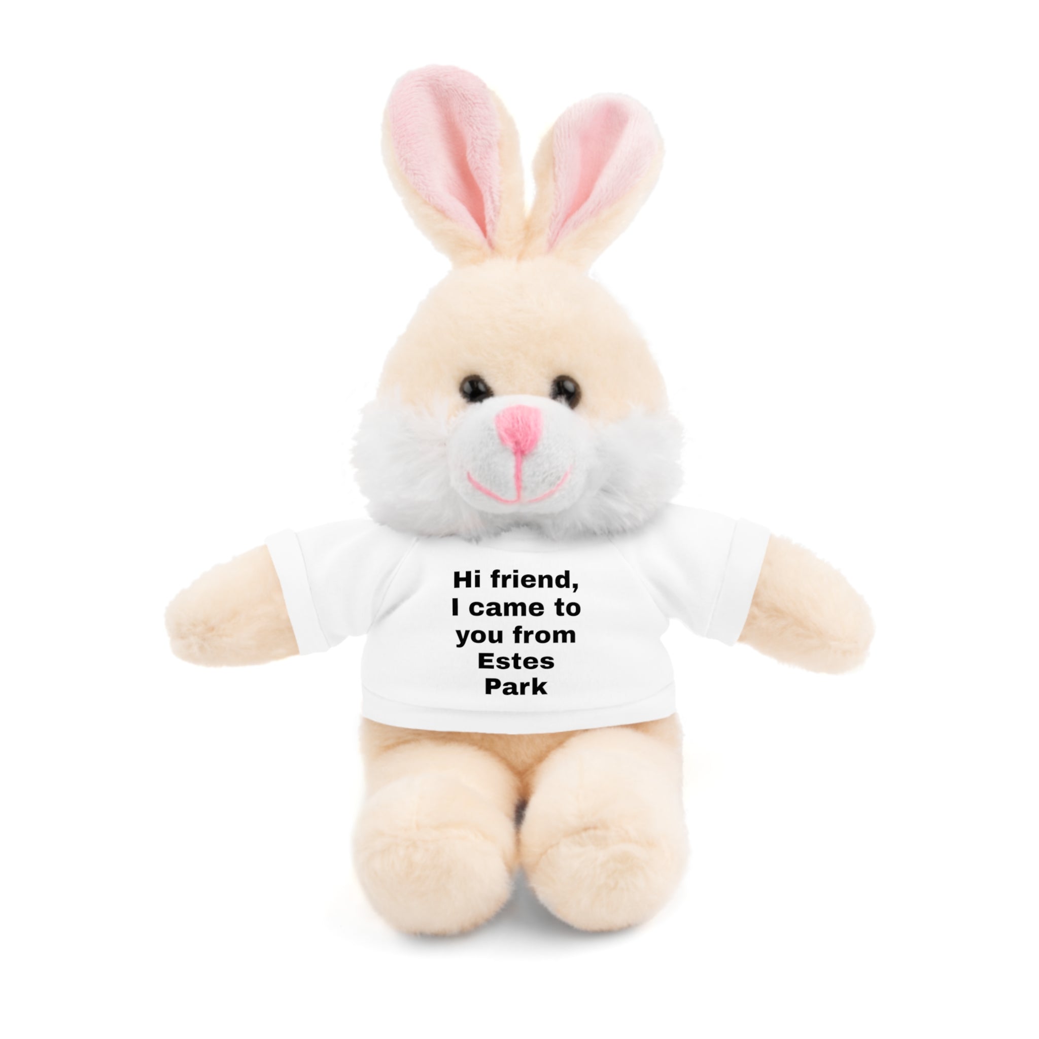 Stuffed Animal with Tee, Cute Bear Plushie, Personalized Gift for Kids, Souvenir from Estes Park, Adorable Cuddle Buddy, Cute Toy for [...]