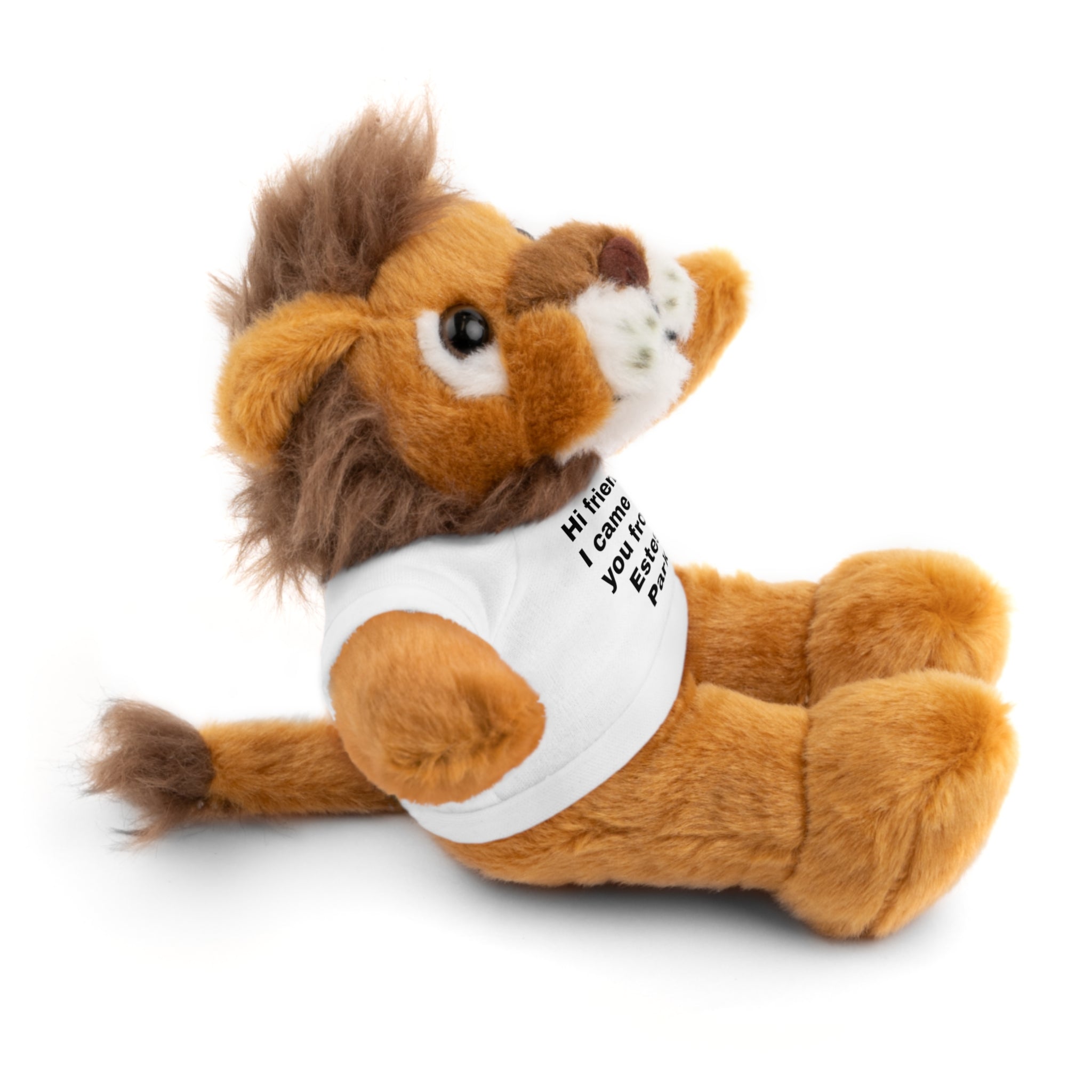 Stuffed Animal with Tee, Cute Bear Plushie, Personalized Gift for Kids, Souvenir from Estes Park, Adorable Cuddle Buddy, Cute Toy for [...]