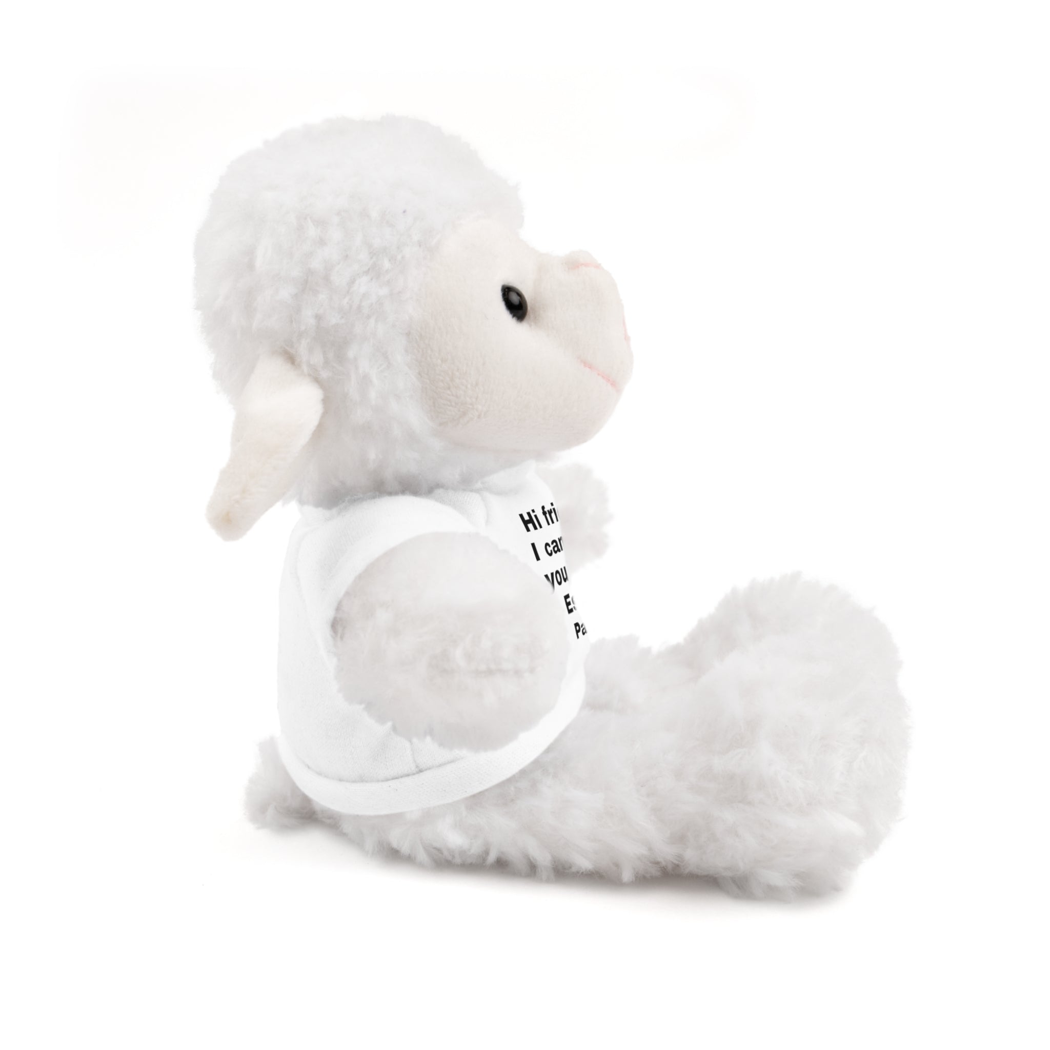 Stuffed Animal with Tee, Cute Bear Plushie, Personalized Gift for Kids, Souvenir from Estes Park, Adorable Cuddle Buddy, Cute Toy for [...]