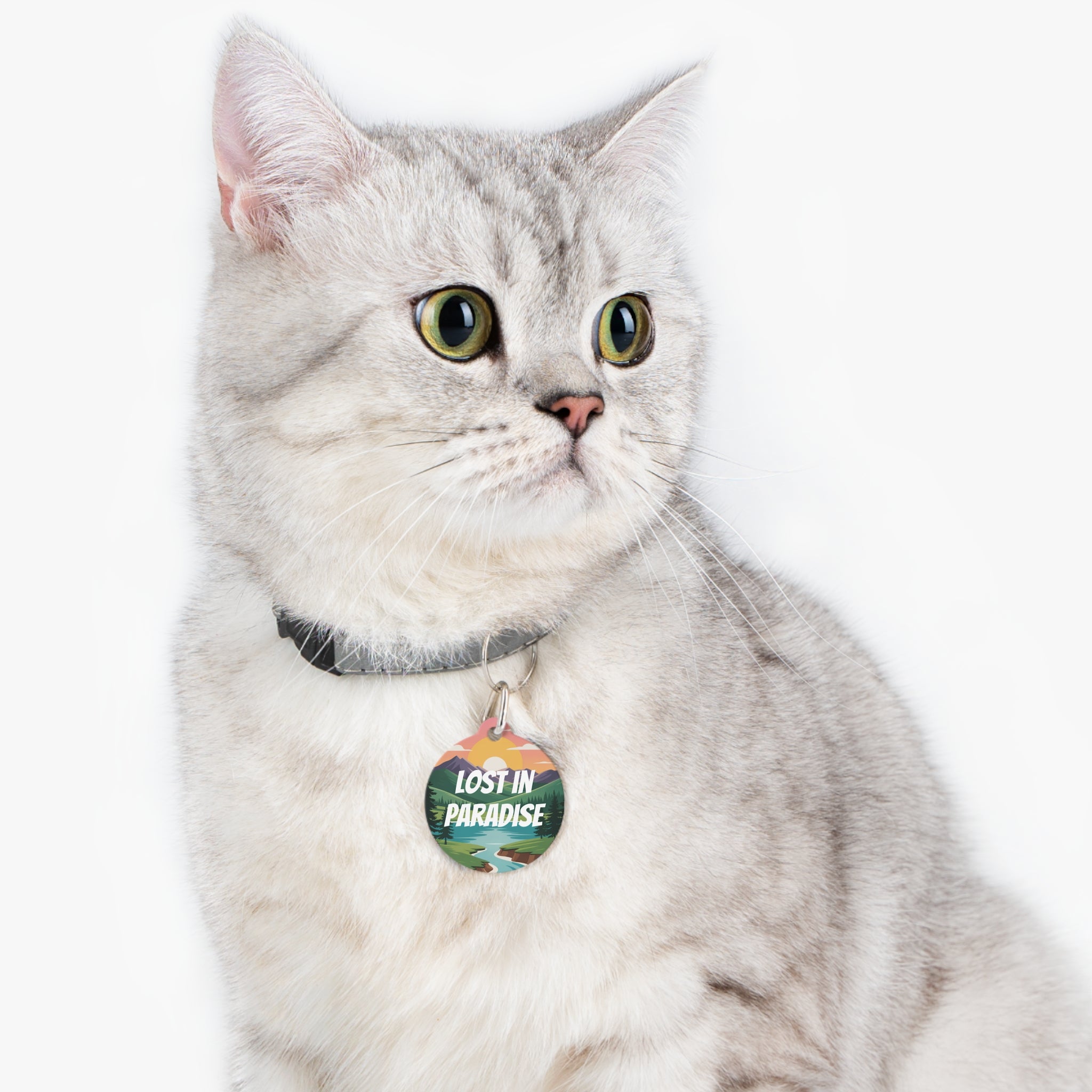 Whimsical Pet Tag - Lost in Paradise, Dog Tag, Cat ID Tag, Unique Pet Accessories, Cute Pet Gifts, Personalized Pet Name Tag